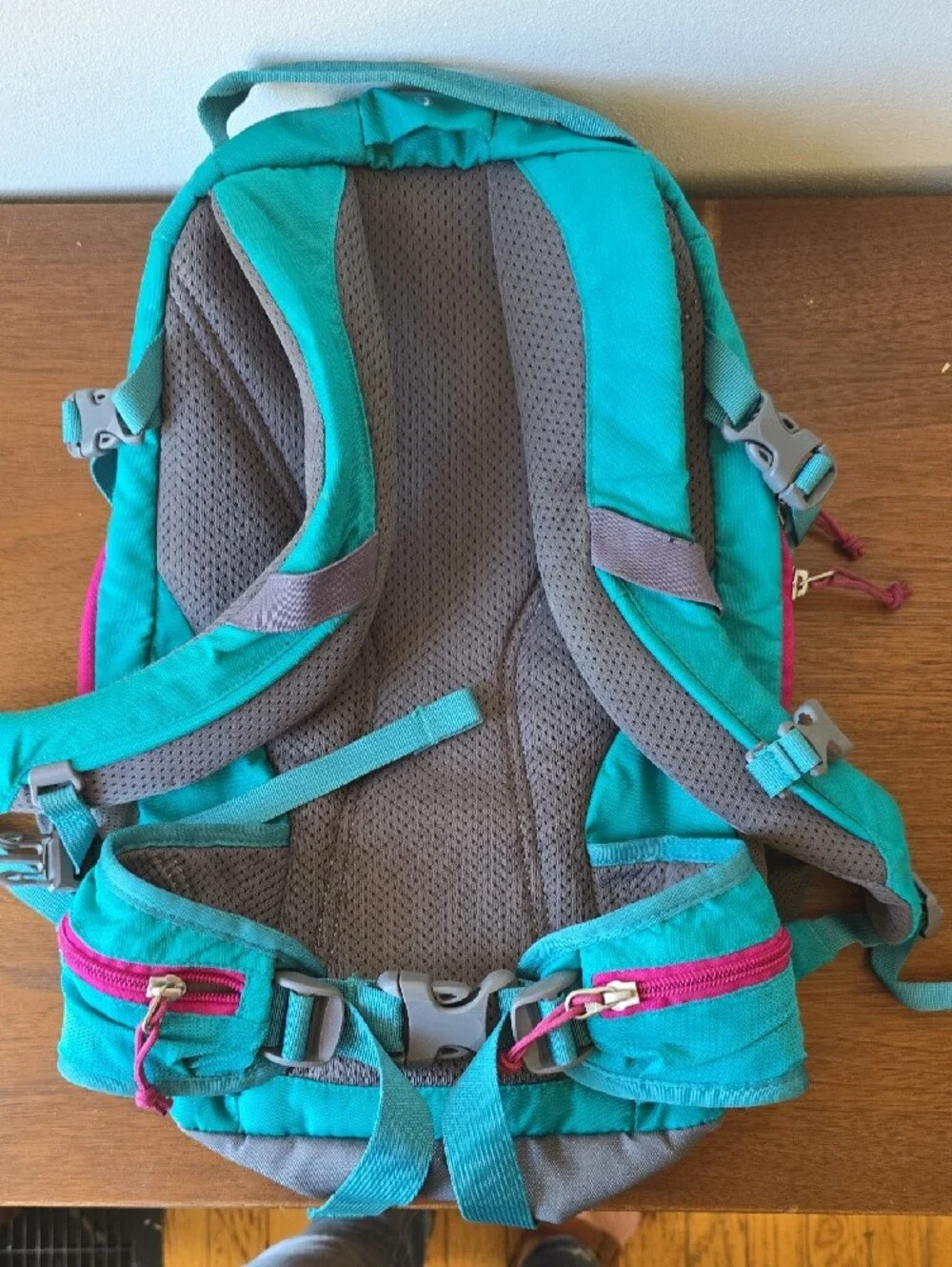 REI Tarn 18 Teal and Gray Daypack Backpack - Kids